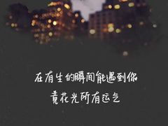 -小先生琴行(科园路店)