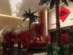 -常州环球恐龙城维景国际大酒店