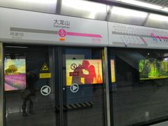 -大龙山(地铁站)