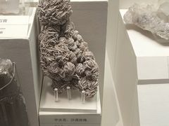 -天津自然博物馆