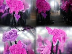 -X88商场(铜仁路店)