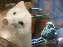 -南京金牛湖风景区