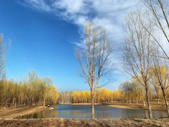 -东郊湿地公园