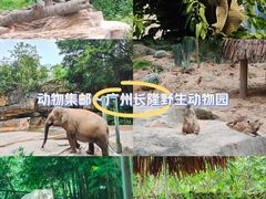 -广州长隆野生动物世界