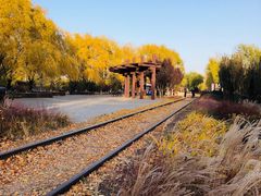 -永定河休闲森林公园