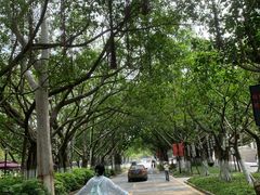 -厦门大学(思明校区)