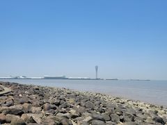 -上海吴淞炮台湾国家湿地公园