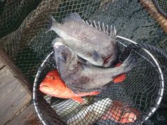 -海上驿站渔家菜馆