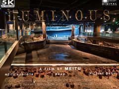 -元代水闸遗址博物馆