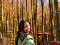 -山王坪喀斯特国家生态公园