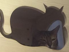 -小时光咖啡馆(开森度假森林店)