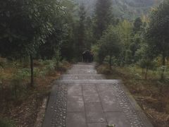 -凤栖山