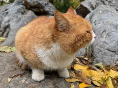 -云龙山