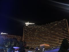 -拉斯维加斯永利酒店