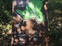 -上海佘山国家森林公园天马山园