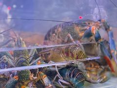-钳小柒·小龙虾蓝龙王烧烤夜宵(长寿路店)