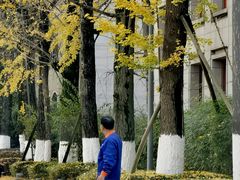 -百林公园-两江幸福广场