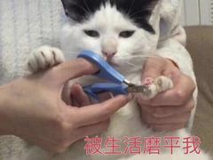 服务员态度差-吉野家(秀谷店)