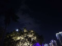 -玫瑰园餐厅