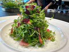 -大拙里·精致融合菜(沙湖桃源国际店)