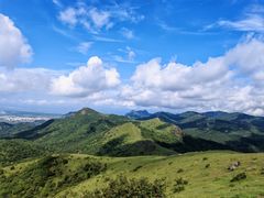 -大姆山草场