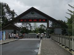 -中国大熊猫保护研究中心雅安碧峰峡基地