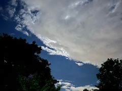 -深圳湾公园(南山区)