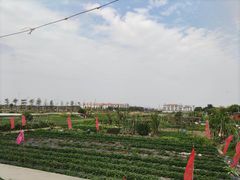 -鲮鱼村(龙归店)
