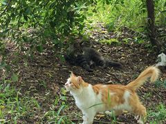 -北京西山国家森林公园