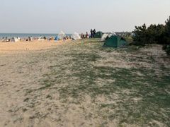 -渡海小渔村.老辈日照菜