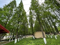 -沙澧河风景区