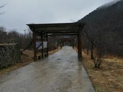 -浙西天池景区