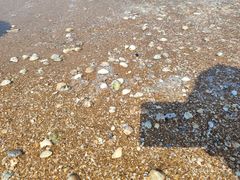-天津东疆湾沙滩景区