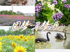 -上海杨姆庄园