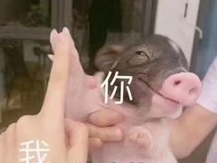 -老南昌白糖糕(大士院店)