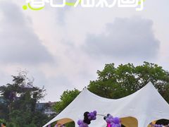 -万绿园