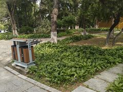 -长春市南湖公园