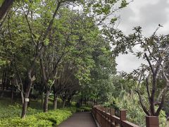 -广东花都湖国家湿地公园