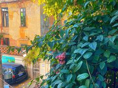 -西关84·History·Art·Cafe