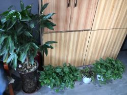 -MOVAN  HAIR莫凡匠人发型屋
