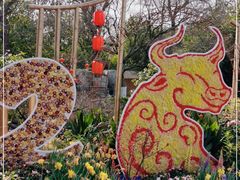 -西湖外事游船(花港观鱼码头)