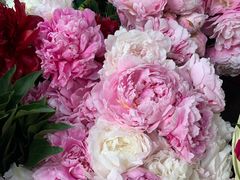 -循礼门鲜花花市(武汉循礼门店)