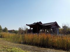 -张家湾公园