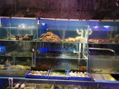 水产区-辉记炭烧海鲜大排档·老字号(福田店)