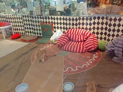 -大型宠物商超·宠海王国·宠物猫狗活体·用品·美容(新世界百货重庆店)