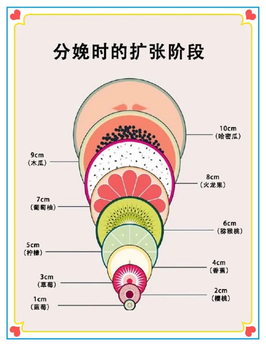 宫口开十指图片