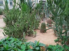 -石家庄市植物园