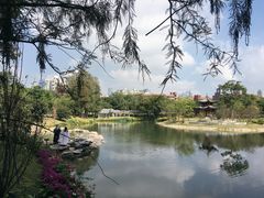 -四海公园(南山区)