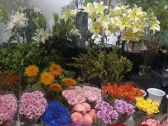 -双季花艺园艺市场(浦东店)