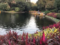 -晓港公园